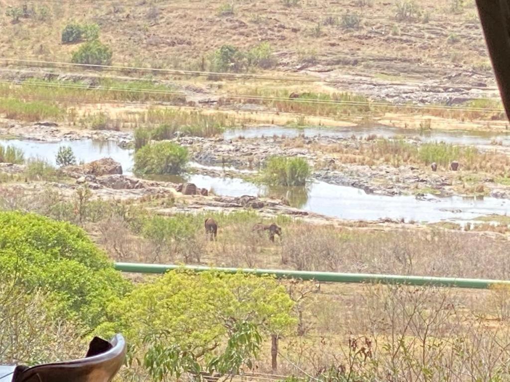 Croc River Lodge Komatipoort Eksteriør billede